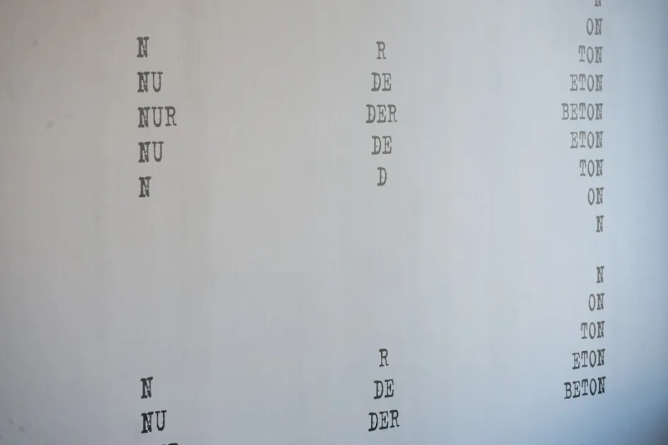 Columns of text printed on a white surface