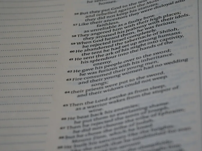 a page of a book with text